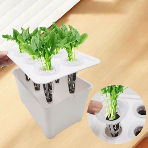 Six Holes Seedling Kit For Hydroponics Growing System with seedlings in a PP box on a windowsill
