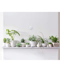 Programmable Smart Thermostat E for home control with frosted white finish above plants on shelf