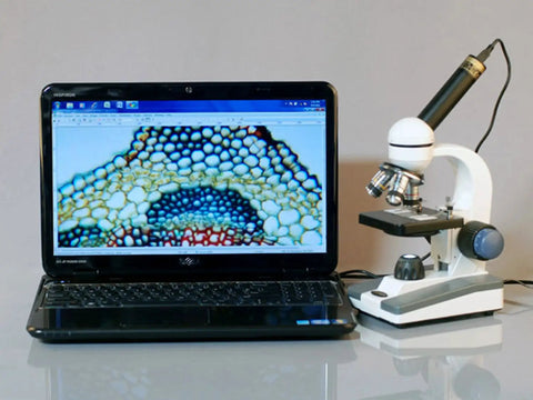 Five Magnification Levels Compound Microscope With 40X-1000X Power, 360 Degree Rotating Monocular next to laptop displaying sample