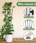32.6 Inch Expandable Metal Plant Trellis For Indoor And Outdoor Climbing Plants shown in a pot with ivy, highlighting features.