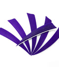 Purple feathers from 60 Piece 4 Inch Arrow Feathers Right Wing Shield Cut Fletching in Green and Purple for wood and carbon arrows