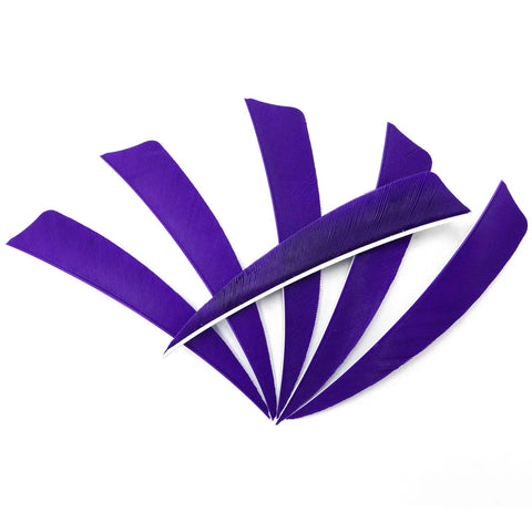 Purple feathers from 60 Piece 4 Inch Arrow Feathers Right Wing Shield Cut Fletching in Green and Purple for wood and carbon arrows