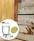 Bee Entrance Feeder For Beehives 8 Pack Perforated Metal Mason Jar Lids with bees at hive entrance