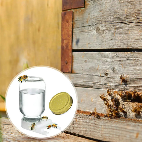 Bee Entrance Feeder For Beehives 8 Pack Perforated Metal Mason Jar Lids with bees at hive entrance