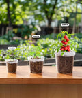 See Through Seed Starter Pots 30 Pack Clear 3 To 5 Inch Plant Pots With Drainage Holes Raised Base Durable Plastic Nursery Containers