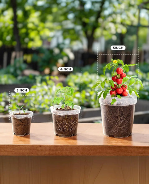 See Through Seed Starter Pots 30 Pack Clear 3 To 5 Inch Plant Pots With Drainage Holes Raised Base Durable Plastic Nursery Containers