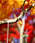 Set of 6 10 Inch White Steel Heavy Duty S Hooks With Rubber Caps For Kitchen Bathroom Garage Outdoor Hangers Towels Hats Keys Plants Wall Mounts And More This Is A Must Have Everyday Essential hanging bird feeder on tree branch in autumn