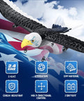 Remote Control Eagle Plane For Newbies And Kids 2.4GHz 2CH RC Airplane with 6 Axis Gyro Stabilization flying over flag