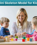 Mini Skeleton Model 7.8 Inch Anatomy Skeleton Figure with kids and teacher in classroom setting