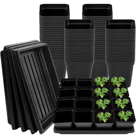 Stacks of 100 Black Square Seedling Pots, 2.6 Inch With Drain Holes, plus 5 Plastic Seed Starter Trays. Visible seedlings in pots.