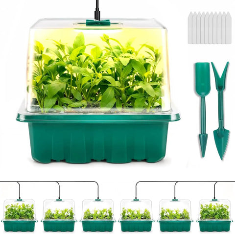 Seed Starter Tray Kit With Grow Light For Indoor Gardening Six Piece Germination Trays With Full Spectrum Lights and Tools
