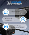 12V 20A LiFePO4 Battery Charger With Anderson Connector For Deep Cycle Batteries Automatic Smart Charging And Maintenance 14.6V Output Ideal For Boats And RVs with detailed features overview.