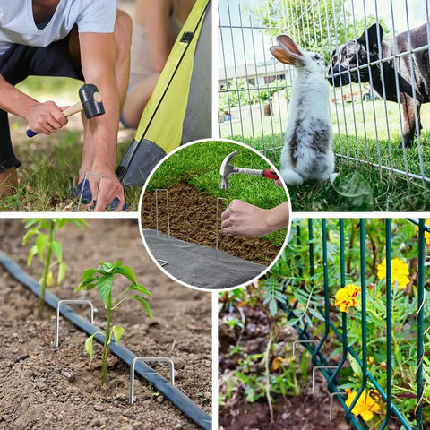 120 Pack 6 Inch Galvanized U Shaped Garden Stakes 11 Gauge Rust Proof Ground Stakes securing a tent, fence, and plants