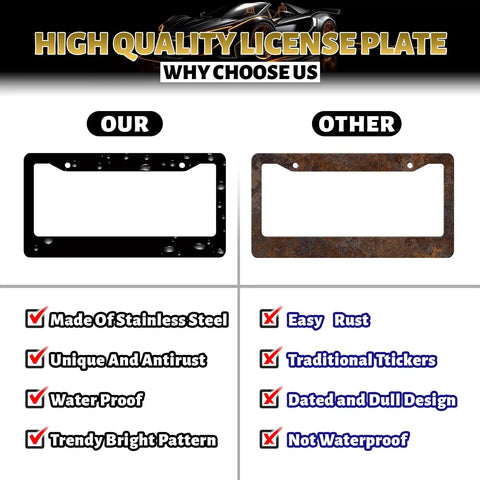Comparison of Beach Vibes License Plate Frame With Palm Tree Hawaii Theme, Stainless Steel Car Accessory next to rusty frame