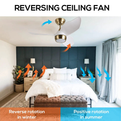 36 Inch White Gold Modern Ceiling Fan With Light And Remote, Quiet DC Motor, 6 Speed, 3 Blade Design above bedroom bed