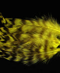 Natural Grizzly Rooster Hackle Feathers For Fly Tying Dope 30 Pcs Set, yellow color, close-up view.