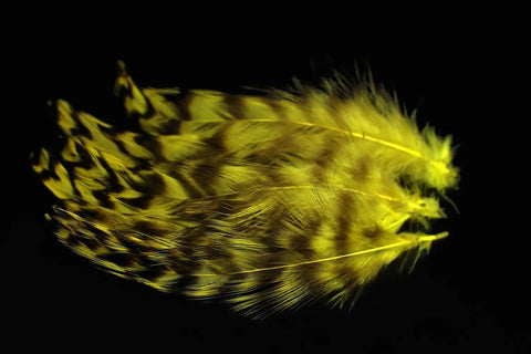 Natural Grizzly Rooster Hackle Feathers For Fly Tying Dope 30 Pcs Set, yellow color, close-up view.