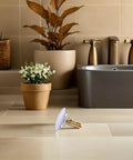 Copper Pop up Bathtub Plug with Bounce Design for Drain Hole on bathroom floor beside flower pot.