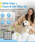 Replacement Filter Set for POWERDETECT Upright Vacuums AZ4002 AZ4000 AZ4000C AZ4002W with HEPA and foam filters on display.