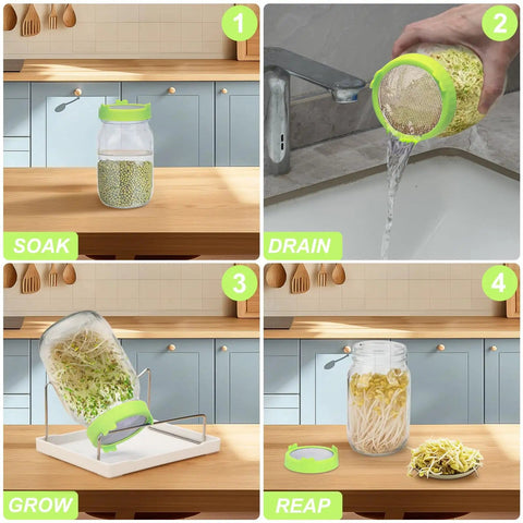 Sprouting Kit for Home Grown Sprouts No Fuss Two Wide Mouth Mason Jars 1000ml Capacity Stainless Steel Sprout Lids in use
