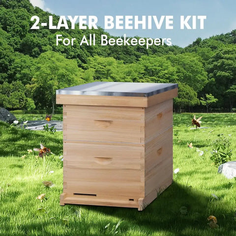 Wooden 8 frame bee hive starter kit with deep brood box and medium super in a grassy field