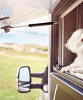 Two Pack 7 Inch Lift Supports Gas Struts 11 Lb With Mounting Brackets in a vehicle, dog looking out the window