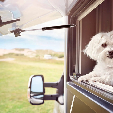 Two Pack 7 Inch Lift Supports Gas Struts 11 Lb With Mounting Brackets in a vehicle, dog looking out the window