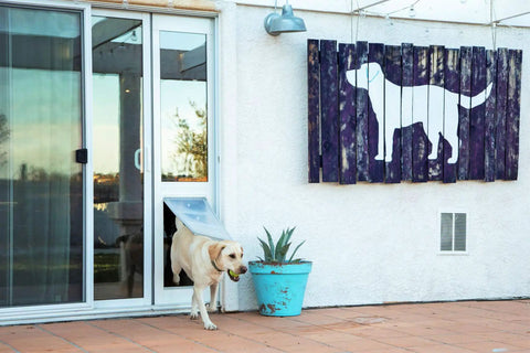 Heavy Duty Thermo Panel Sliding Glass Door Pet Entry Built Tough For Large Dogs With Heavy Aluminum Frame Tight Magnetic Seal Zero Hassle Installation White XXL Flap Fits 74 To 78 Inch Track Smooth Glide with a dog exiting.