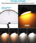Color temperature settings for Eight Pack Low Voltage LED Deck Lights Outdoor 12 To 24V AC DC Triangle Stair Railing Lights
