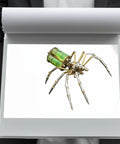 Metal DIY 3D Insect Puzzle Kit In Brass For Adults, Gatling Spider model displayed on paper with intricate brass and steel gears.