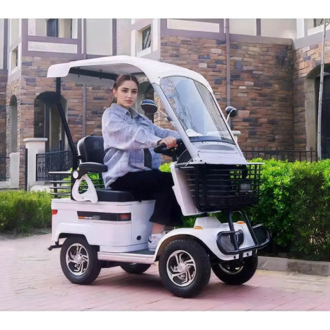 Haoweih 800W Electric Golf Cart For Adults With 60V Lead Acid Battery, Brisk Mobility Scooter featuring a driver on a paved path.