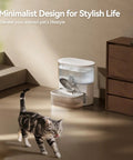 Wastewater Separation Cat Water Fountain with 3.5L Stainless Steel Bowl beside a cat on the floor, minimalist design setting.