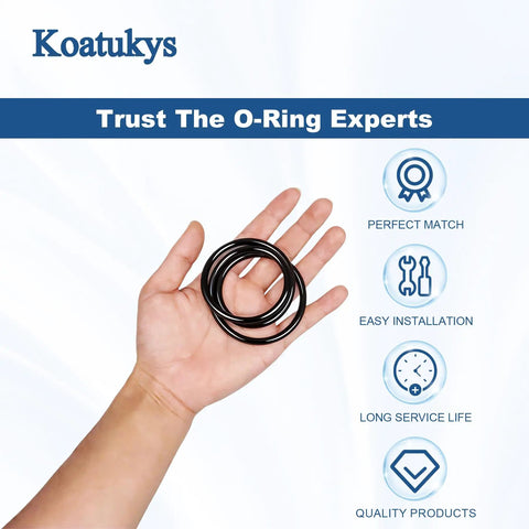 GMX600F O Ring Replacement For Hayward Pro Series Sand Filters S140T S144T S164T S166T S180T S210T S220T S244T Two Pack Durable Sealing O Rings For Leak Free Performance And Easy Pool Filter Maintenance, black O-rings in hand