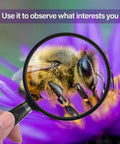 10X Handheld Reading Magnifier With 75mm Shatterproof Lens Non Slip Handle magnifying a bee on a purple flower