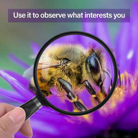 10X Handheld Reading Magnifier With 75mm Shatterproof Lens Non Slip Handle magnifying a bee on a purple flower