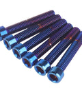 Slick Titanium Finish Stainless Steel Allen Hex Socket Head Screws M5 From M5x12 Up To M5x35mm Burnt Blue Bolt Set, detailed view of six screws.