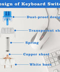 Diagram showing components of Blue 3 Pin Clicky Tactile Mechanical Keyboard Switches 50 Pcs DIY Replacement Kit