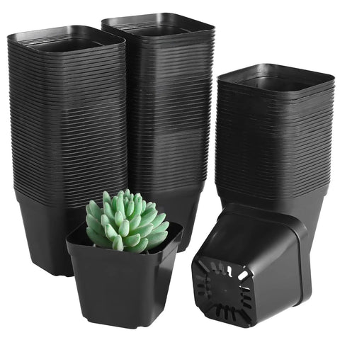 Stack of 120 Pcs Small Square Plastic Nursery Pots 4 Inch with Drainage Holes, containing succulent plant, ready for growing.