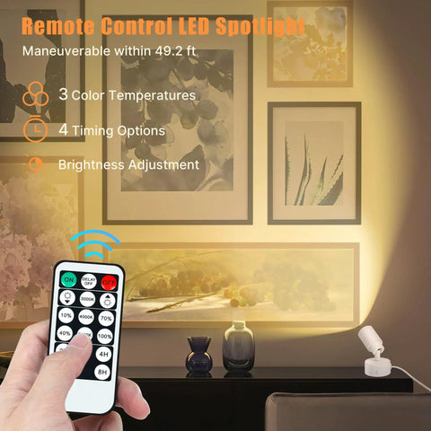 Dope 5W LED Indoor Spotlight Kit With Remote Dimmable And Timer 3 CCT Uplighting for artwork on wall; remote control visible