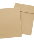 Brown Seed Packets 4.5 By 3.25 Inches 100 Pack Blank Envelopes, shown front and back, ideal for organizing seeds, coins, keys, and small parts.