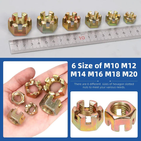 60Pcs Hex Slotted Nuts Set M10 M12 M14 M16 M18 M20 Carbon Steel display with ruler for cars and furniture projects.