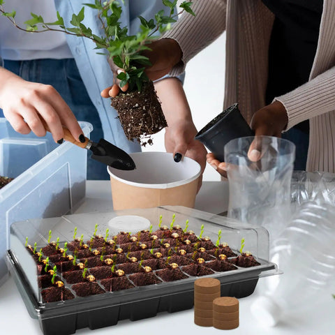 Two Pack All In One Seed Starter Trays With 80 Coco Pellets Humidity Covers No Fuss Indoor Seed Germination System For Herbs Vegetables And Flowers Seed Starter Kit