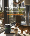 Zero Stress Fur Baby Snack Routine With This Smart Automatic Cat Feeder Boasting 1080P HD Camera and Infrared Night Vision Using 5G WiFi Plus Two Way Audio and Tight Portion Control To Keep Dry Kibble Fresh, showing pet feeder with two dogs.