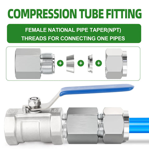304 Stainless Steel Compression Tube Fitting Connector One Half Inch Tube OD To One Half Inch NPT Female Straight Adapter