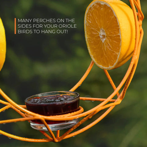 Oriole Bird Feeder Outdoor Baltimore Oriole Jelly And Orange Metal Feeder With Sun Design And Bright UV Resistant Powder Coated Steel Open Top Hook Easy To Hang Anywhere, showing orange frame with jelly cup and orange slices.