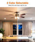 Room with a ceiling fan showing light difference between 2700K and 5000K using Soft White A15 LED Ceiling Fan Light Bulb Dimmable 60W Equivalent.
