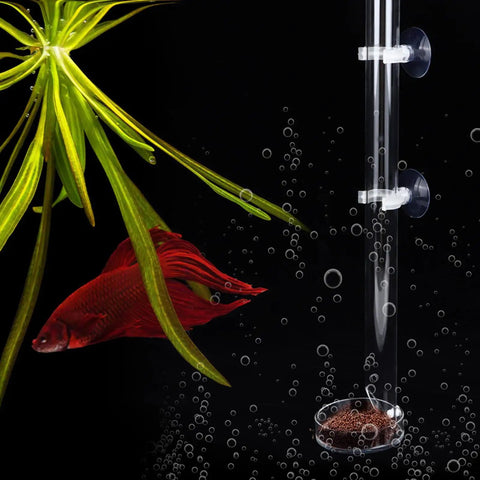 Top Drawer Aquarium Shrimp Feeding Dish And Suction Tube Dead Simple Bottom Long Reach Fish Tank showing transparent acrylic bowl with suction cup.