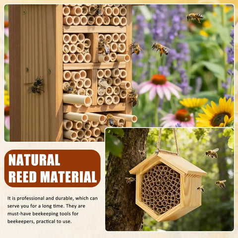 Mason Bee Tubes 300 Pack 6 Inch Pollinator Tubes For Beekeeping Outdoor Nesting Tubes Replacement Reed Habitat For Honey Bees