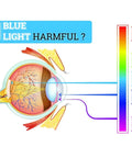 Diagram showing the effects of blue light on the eye with spectrum chart, highlighting why blue light is harmful.