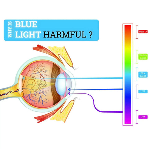 Diagram showing the effects of blue light on the eye with spectrum chart, highlighting why blue light is harmful.
